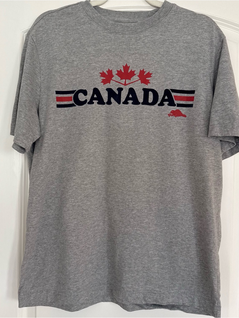 Roots 73 Athletics Canada T Shirt Small Gray Flocked Velvet Logo Made in Canada